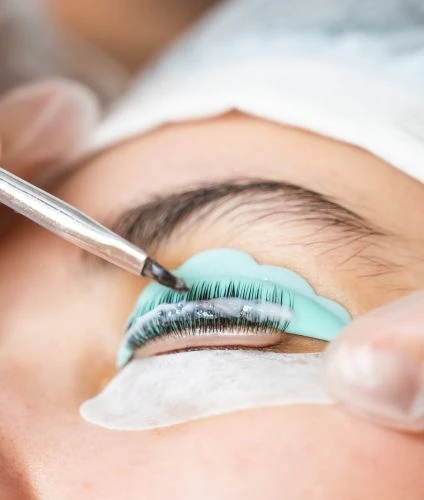Eyebrows and Eyelash Tinting Services